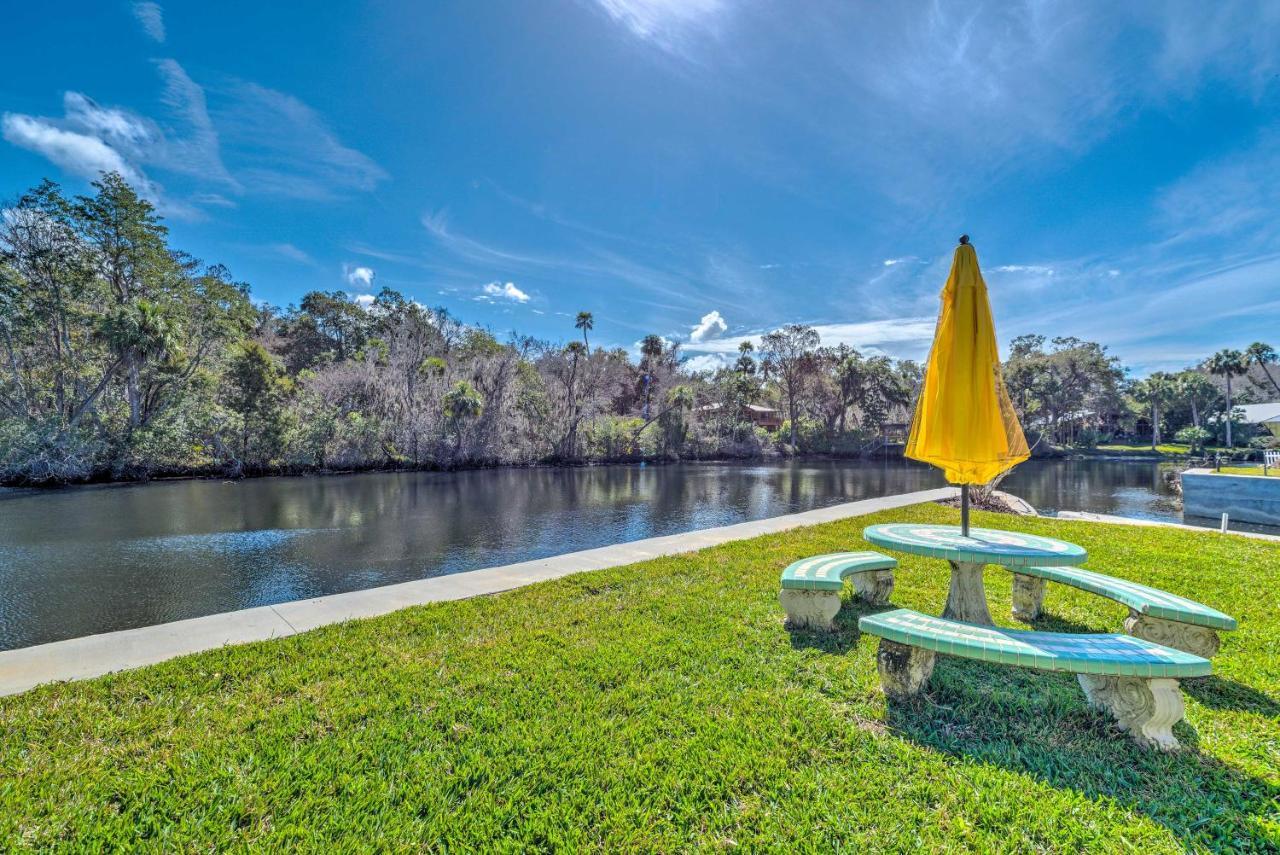 Withlacoochee River House With Dock And Kayaks! Yankeetown Exterior photo